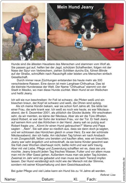 Mein Hund Jeany